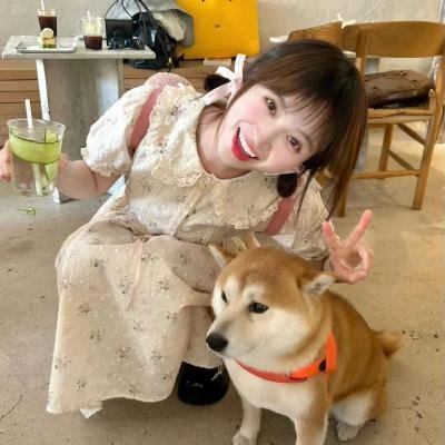 又见白娘子